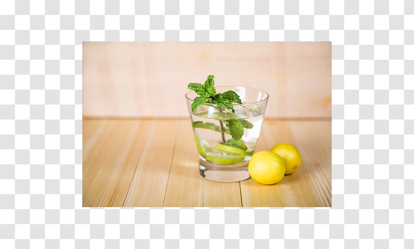 Mojito Limeade Cocktail Garnish Mint Julep Spritzer - Lime Juice Transparent PNG