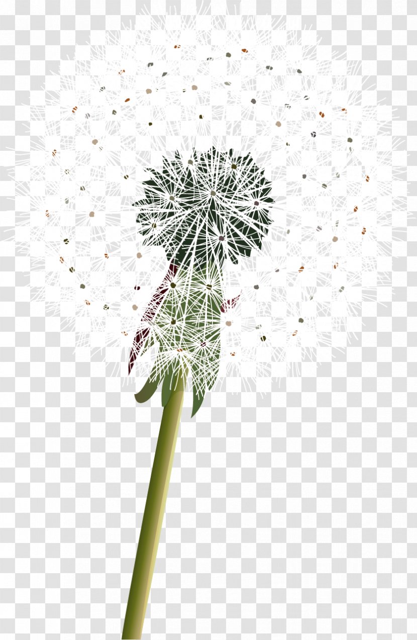 Common Dandelion Plant Clip Art - Flora Transparent PNG