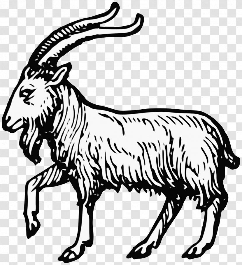 Goat Clip Art Complete Guide To Heraldry Sheep - Line Transparent PNG