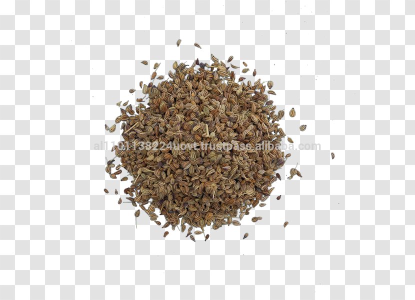 Ajwain Spice Bratwurst Ingredient Herb - Food - Mustard Transparent PNG