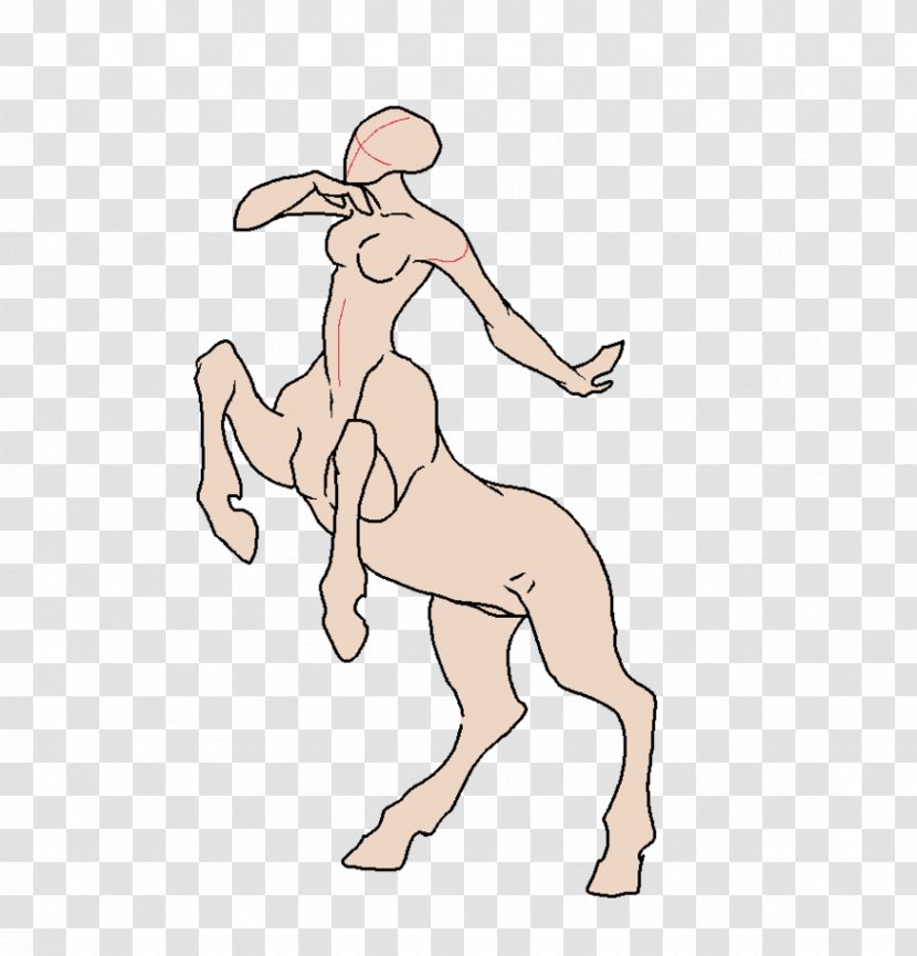 Horse Centaurides Homo Sapiens Finger - Flower Transparent PNG