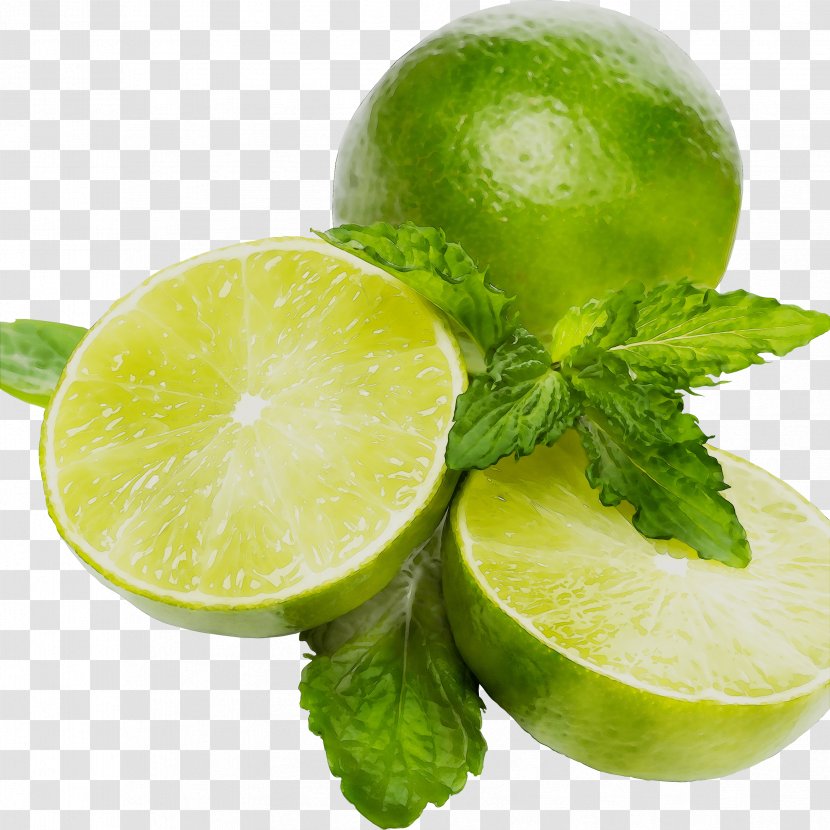 Key Lime Lemon Limeade Persian - Superfood - Plant Transparent PNG