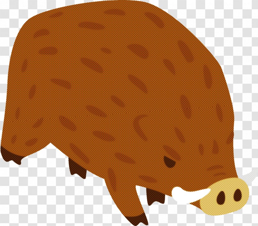 Hedgehog Snout Boar Transparent PNG