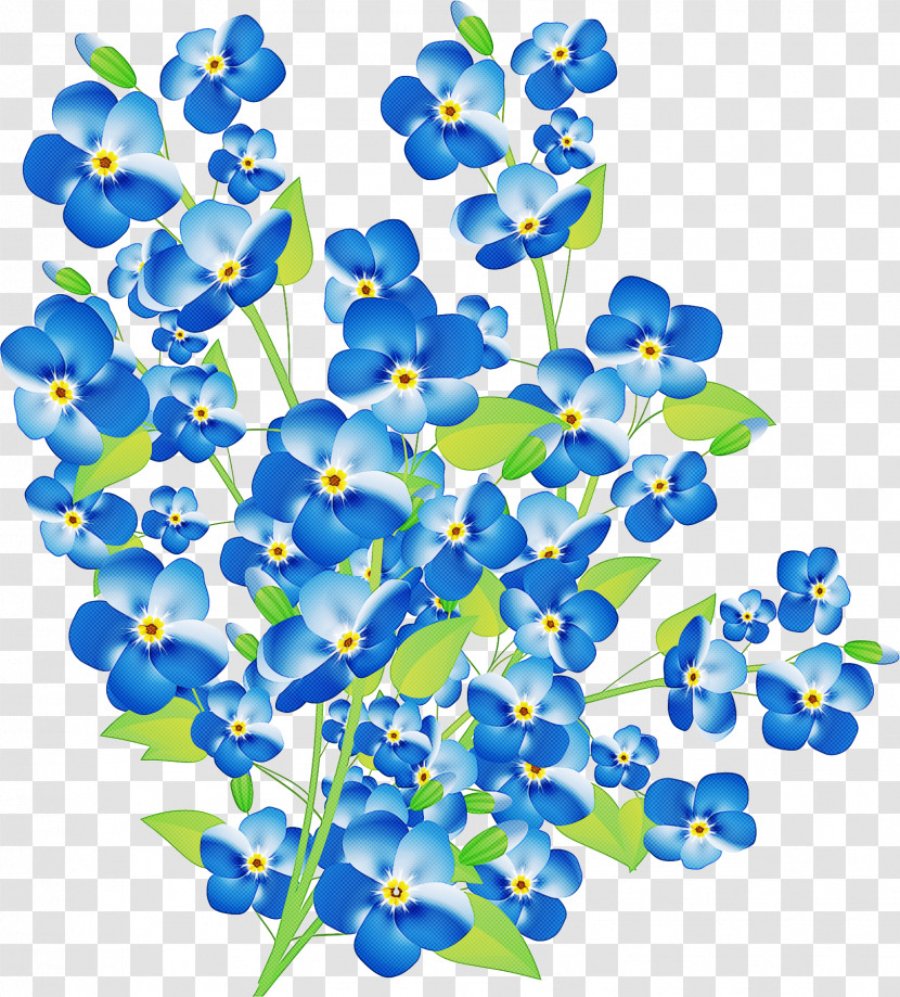Blue Flower Plant Borage Family Transparent PNG