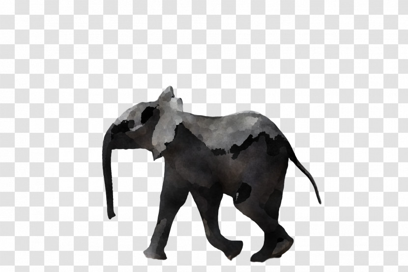 Indian Elephant Transparent PNG