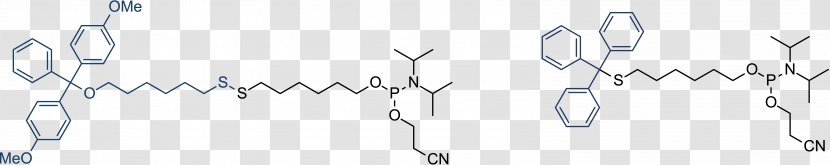 Oligonucleotide Synthesis Chemical Phosphoramidite Chemistry - Frame - Flower Transparent PNG