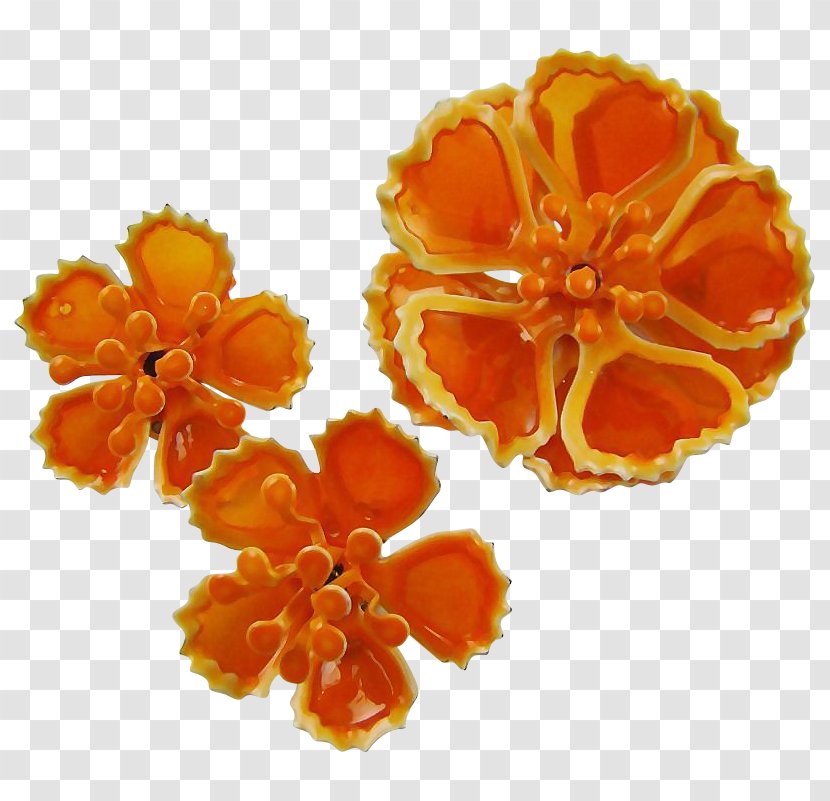 Cut Flowers Petal - Flower - Blood Orange Transparent PNG