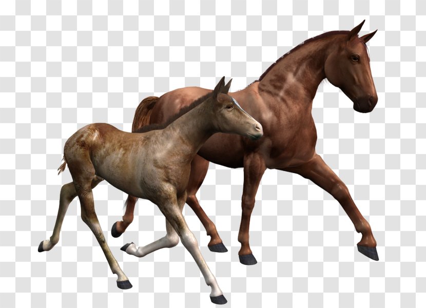 Breyer Animal Creations Model Horse Foal Mare - Like Mammal Transparent PNG
