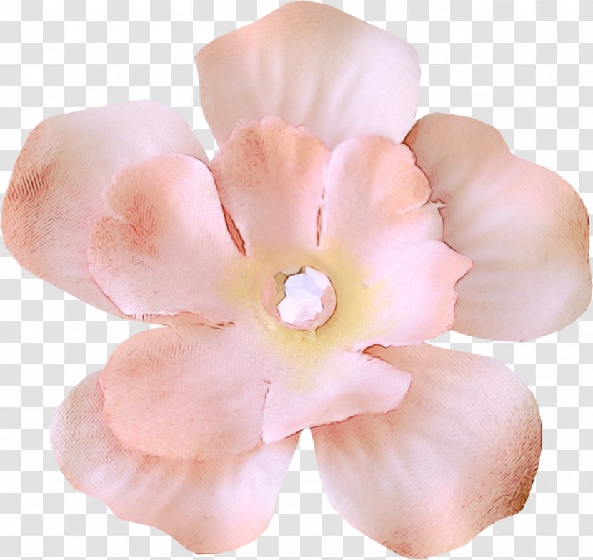 Artificial Flower - Impatiens - Moth Orchid Hair Accessory Transparent PNG