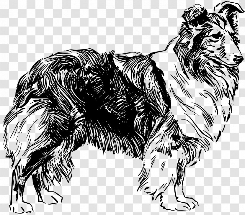 Old English Sheepdog Shetland Clip Art - Carnivoran - Fictional Character Transparent PNG