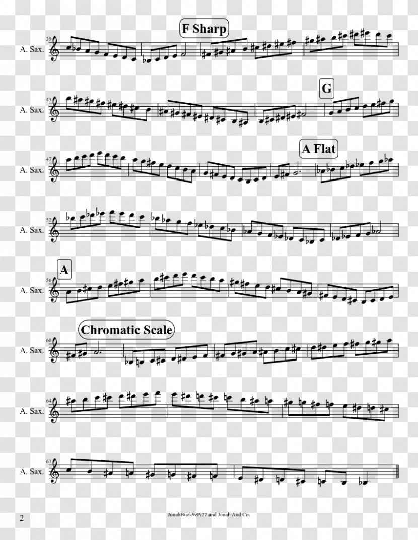 Alto Saxophone Major Scale Musical Notation - Flower Transparent PNG