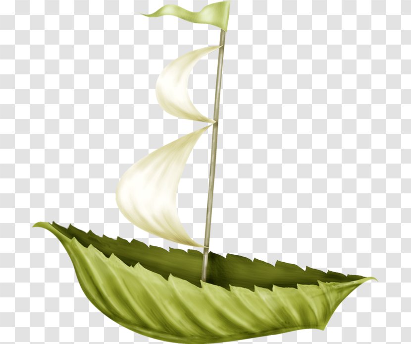 Leaf Herbalism Alternative Health Services Medicine - Plant Stem Transparent PNG