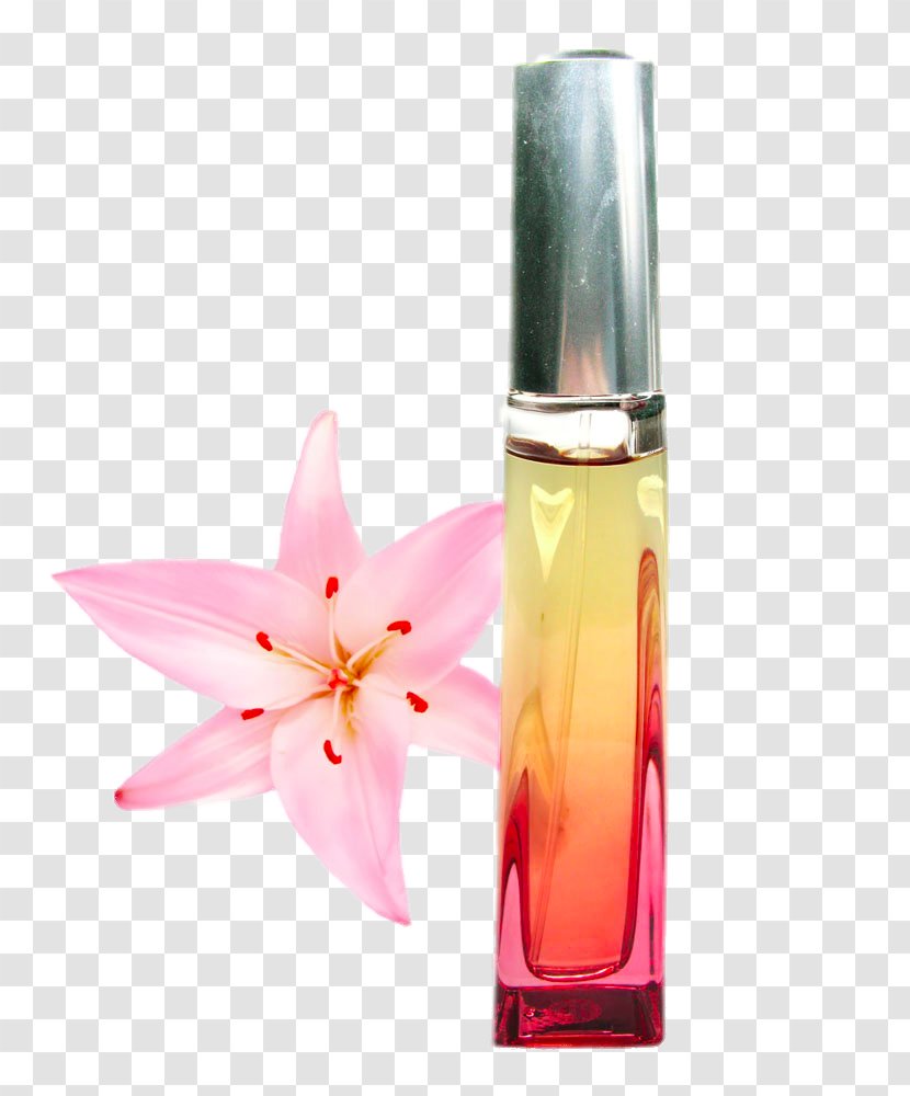 Perfume Cosmetics - Peach Lipstick Transparent PNG