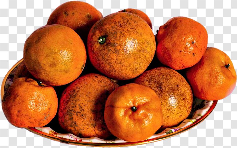 Superfood Tangerine Mandarin Orange Winter Squash - Local Food - Rangpur Ugli Fruit Transparent PNG
