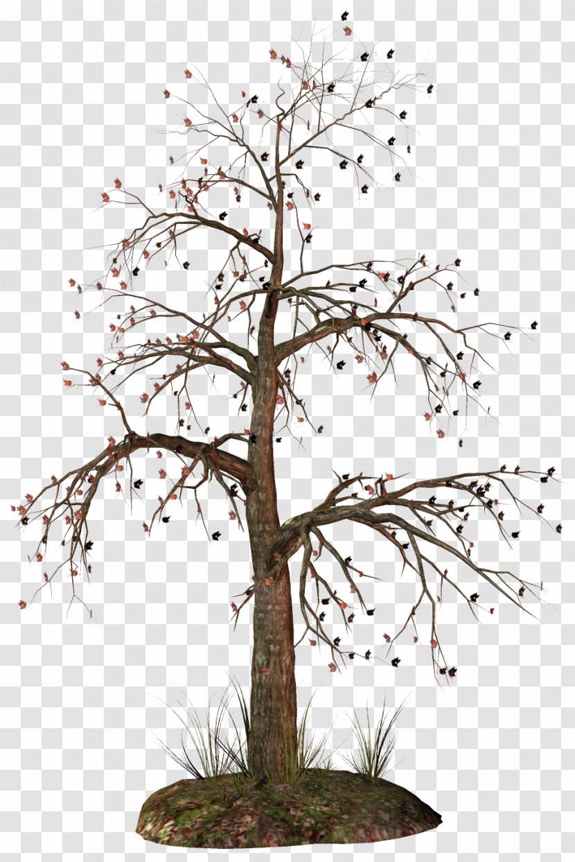 Tree Snag Branch Clip Art Transparent PNG