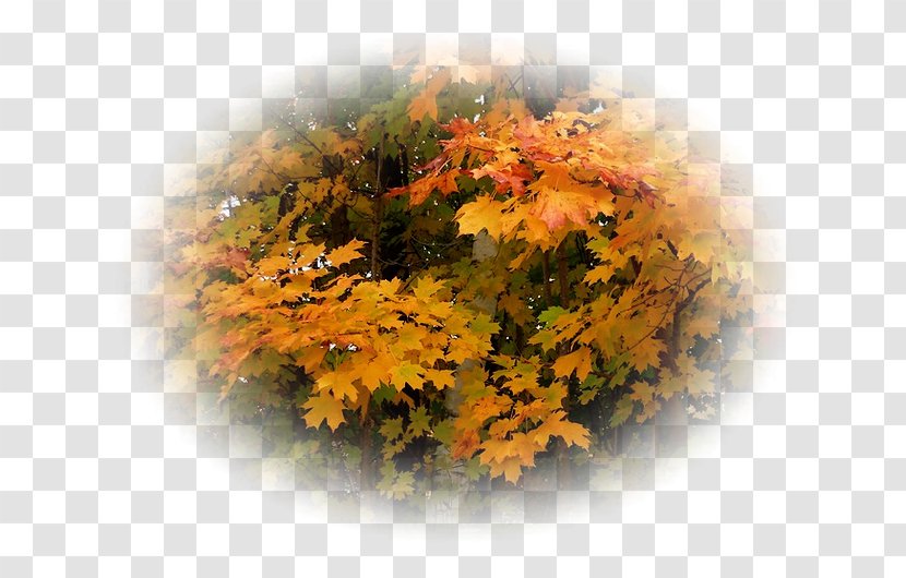 Landscape Autumn - Biscuits - Orman Transparent PNG