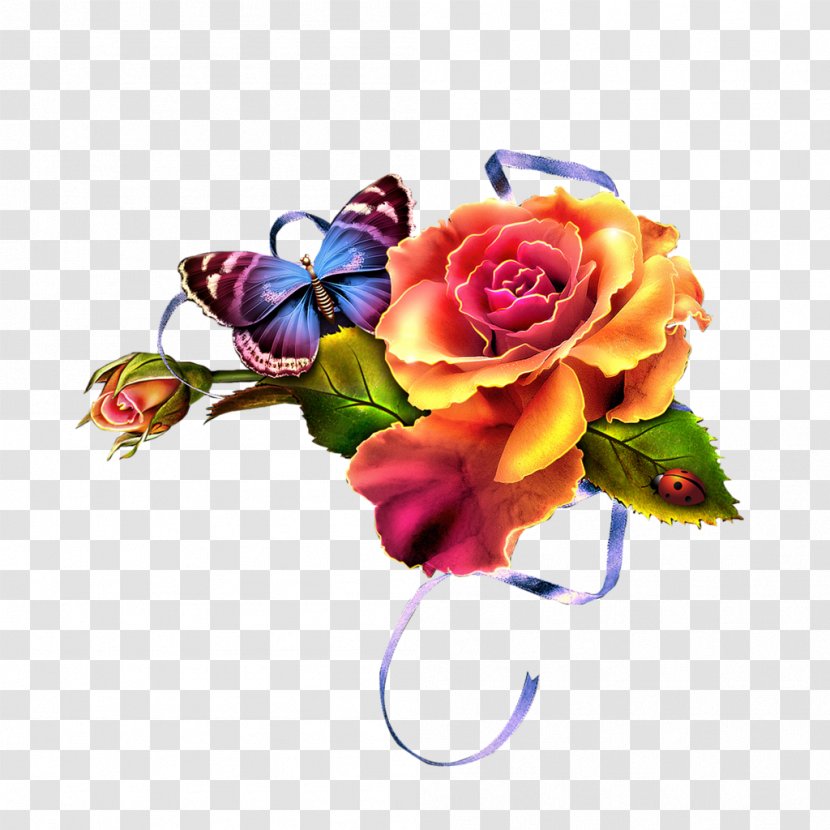 Flower Garden Floral Design Roses - Bouquet Transparent PNG