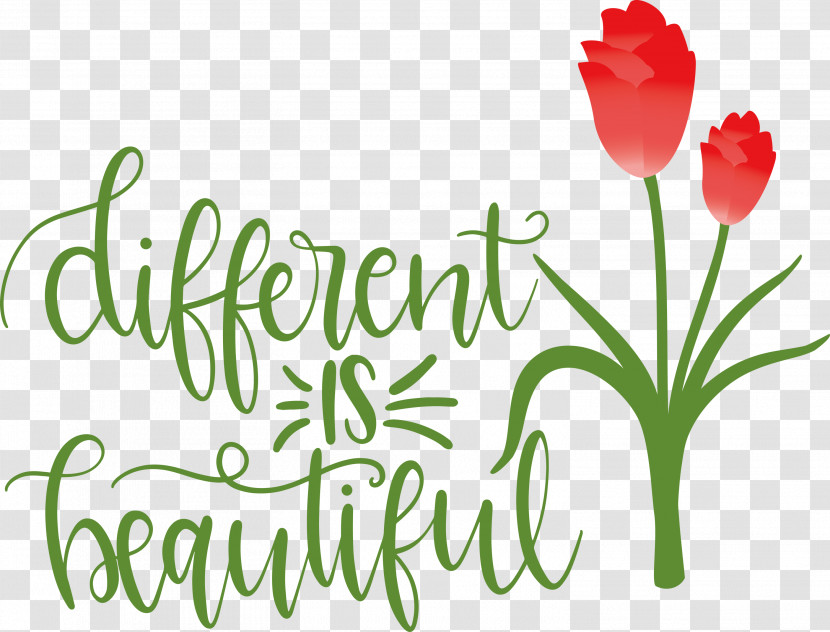 Different Is Beautiful Womens Day Transparent PNG