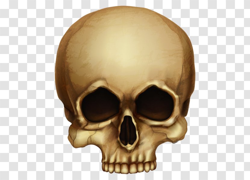 Skull Skeleton Clip Art - Jaw - Horror Transparent PNG