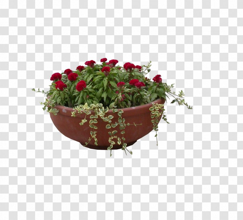 Garden Roses Bonsai Flowerpot Gratis - Stone Basin Of Safflower And Plant Transparent PNG