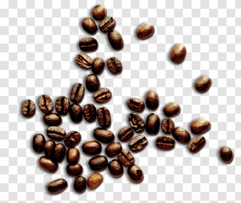 Jamaican Blue Mountain Coffee Cafe Common Bean - Beans Transparent PNG