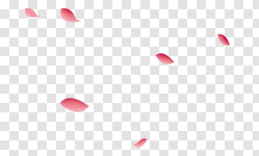 Petal Flower - Designer Transparent PNG