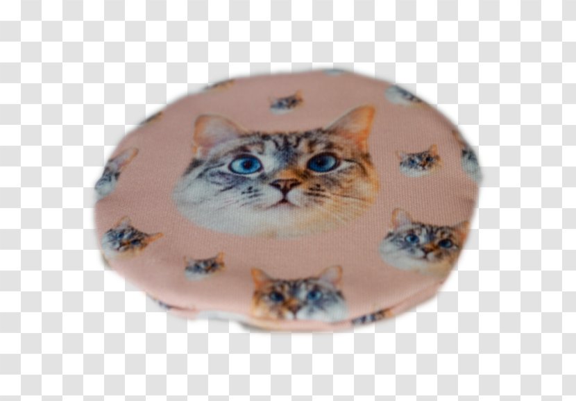 Kitten Tabby Cat Whiskers Ceramic Transparent PNG