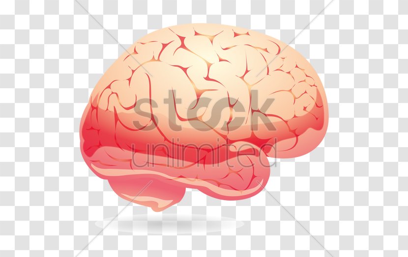 Brain - Flower - Heart Transparent PNG