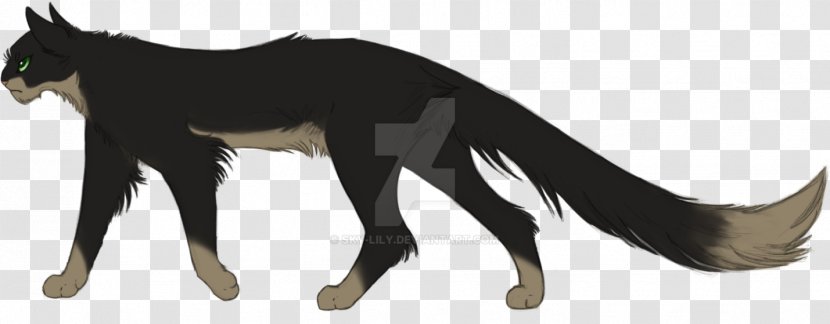 Whiskers Dog Cat Character Mammal - Like Transparent PNG