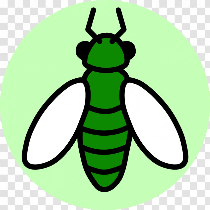 Beetle Insect Biodiversity Termite Entomology - Leaf Transparent PNG