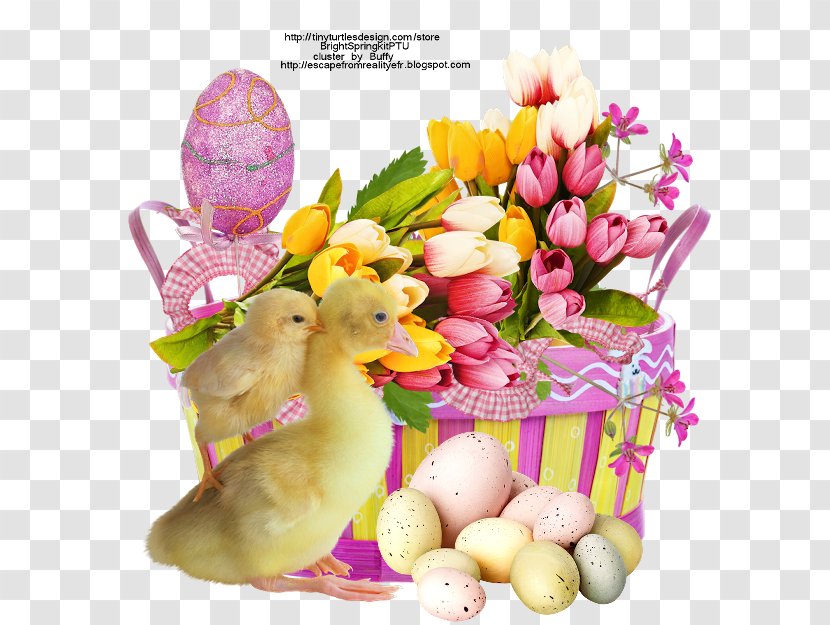 Easter Bunny Login Email - Flower - Frame Transparent PNG