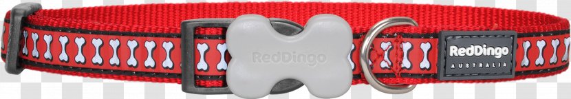Dingo Dog Collar Leash - Automotive Lighting - Red Transparent PNG