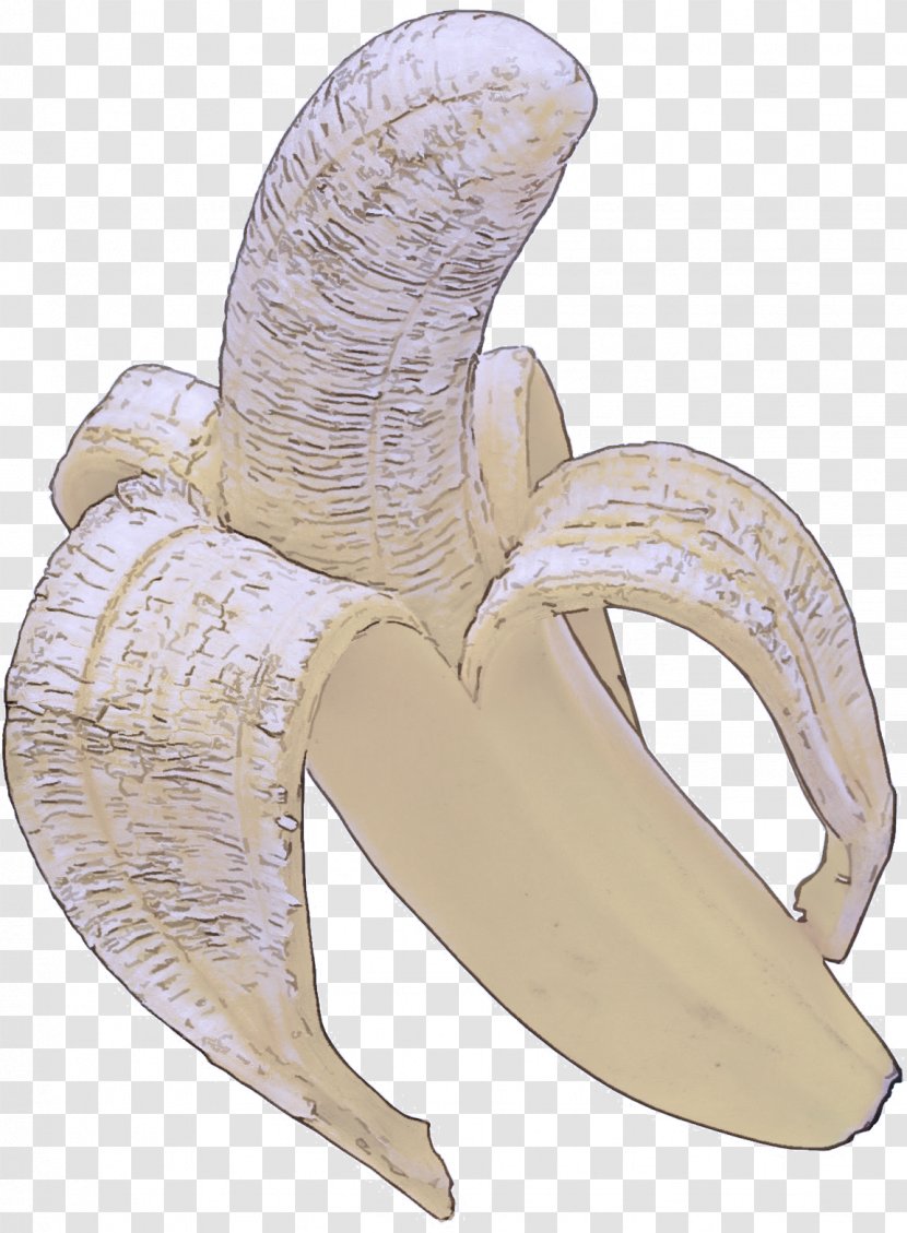 Banana Family Plant Ear Drawing Transparent PNG
