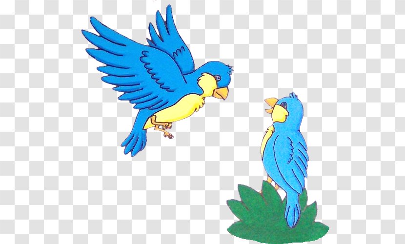 Macaw Parakeet Feather Clip Art - Animal Figure Transparent PNG