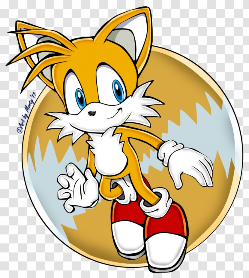 Red Fox Tails Sonic Chaos Adventure 2 Amy Rose - Tail - Baby Crying Transparent PNG