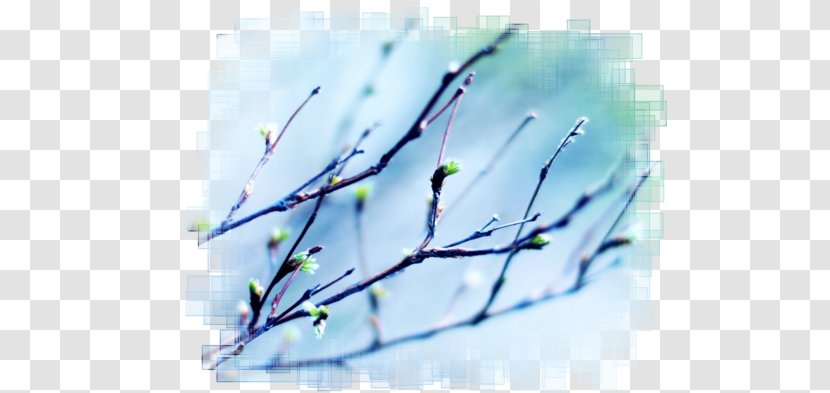Desktop Wallpaper Sky Light Spring 1080p - Color Transparent PNG