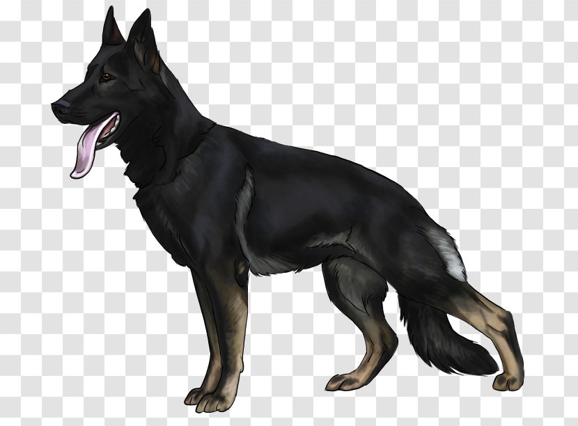 Old German Shepherd Dog East-European Belgian Tervuren King - Mammal - Bastet Transparent PNG