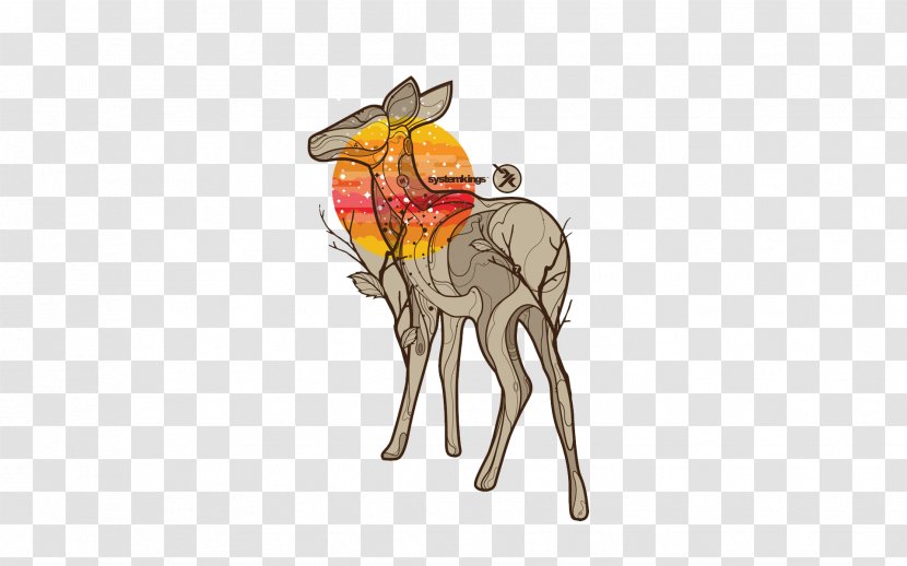 Deer Mammal Illustration - Camel Transparent PNG