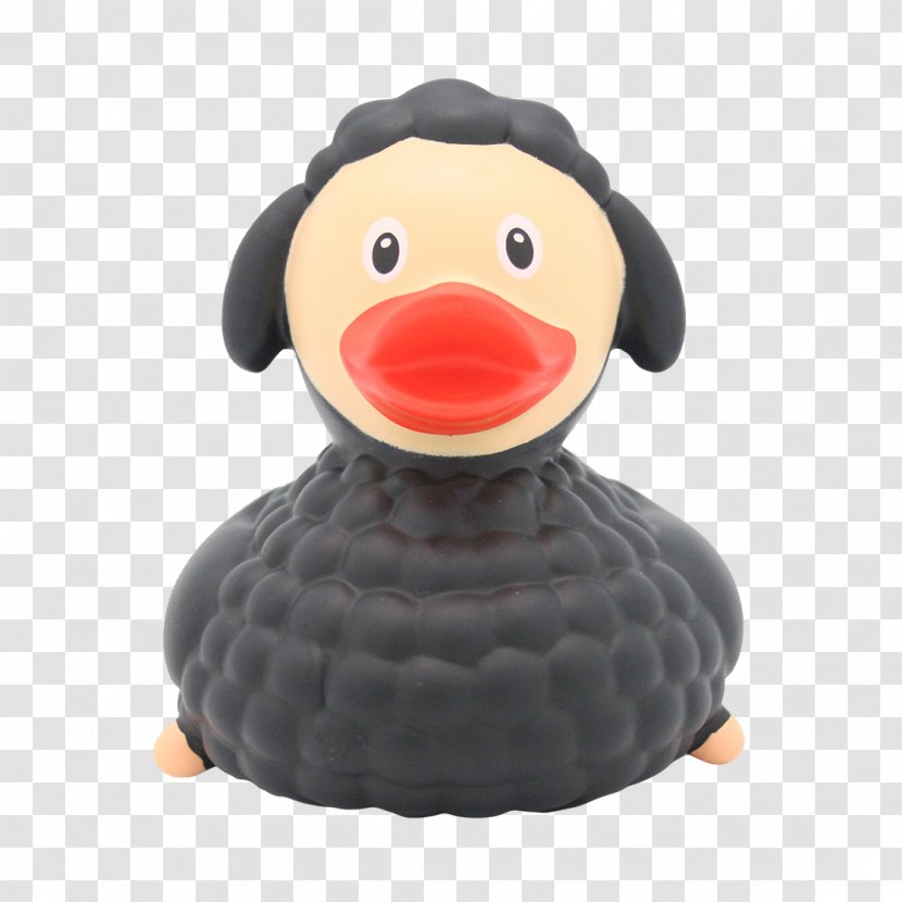 Rubber Duck Sheep Toy Papero - Beak Transparent PNG