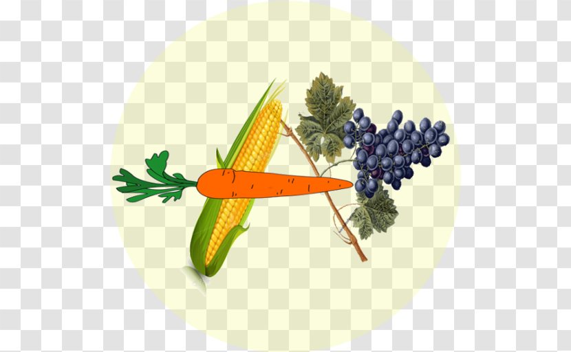 Vegetable Fruit - Agronomist Flyer Transparent PNG