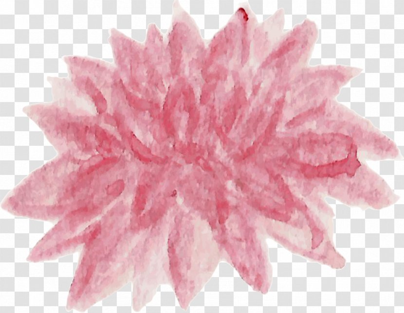 Petal Cut Flowers Pink M Dahlia Chrysanthemum Transparent PNG