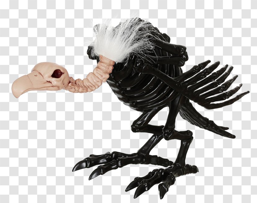 Skeleton Bearded Vulture Skull Bone - Buzzard Transparent PNG