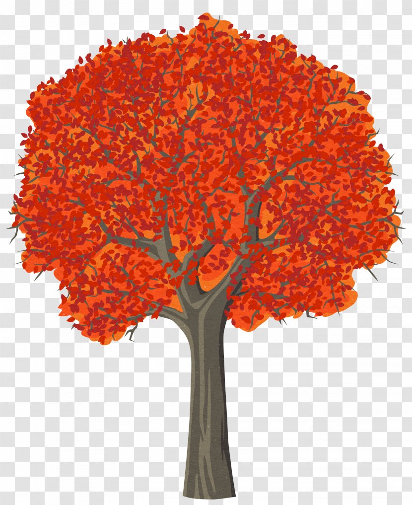 Tree Cartoon Drawing Clip Art - Woody Plant - Tree, Transparent PNG