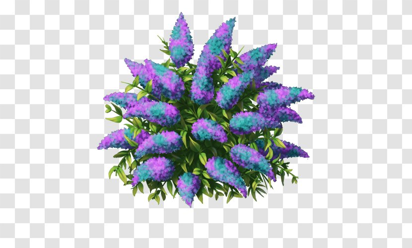 Cut Flowers Floral Design Lavender Lilac - Plant - Time Transparent PNG