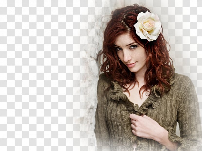 Susan Coffey Hairstyle Clothing Accessories - Tree - Hair Transparent PNG