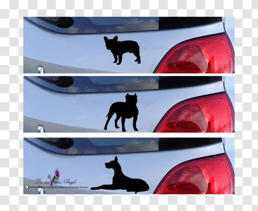 Car Door Border Collie Vehicle License Plates Bumper - Red Transparent PNG