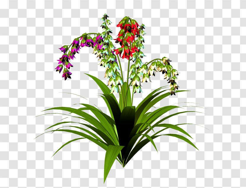 Cut Flowers Clip Art Houseplant Embryophyte - Tulip - Flower Transparent PNG