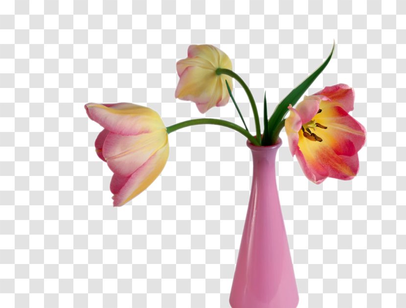 Floral Design Flower Bouquet Vase Valentine's Day Ceramic Transparent PNG