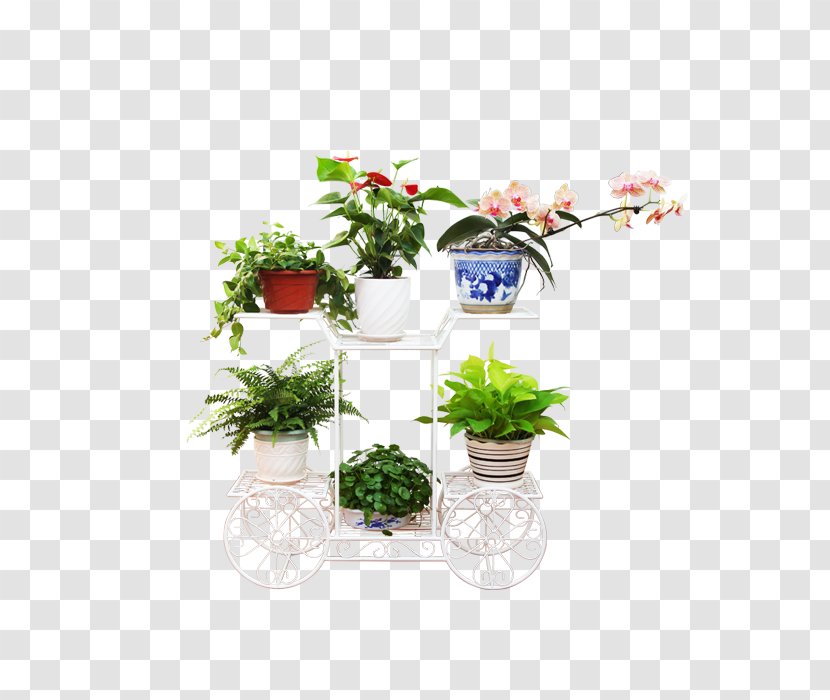 Floral Design Clip Art - Flora - Plants Decorations Transparent PNG