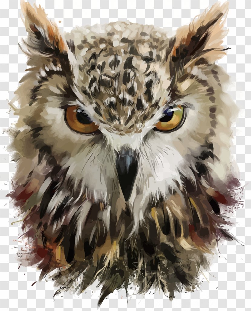 Owl DeviantArt Drawing Painting - Little - Vector Hand Painted Transparent PNG